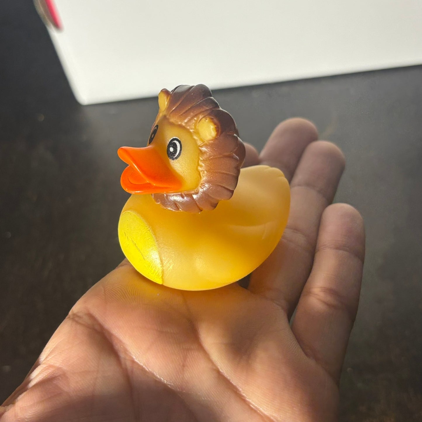 Lion Duck - Toy
