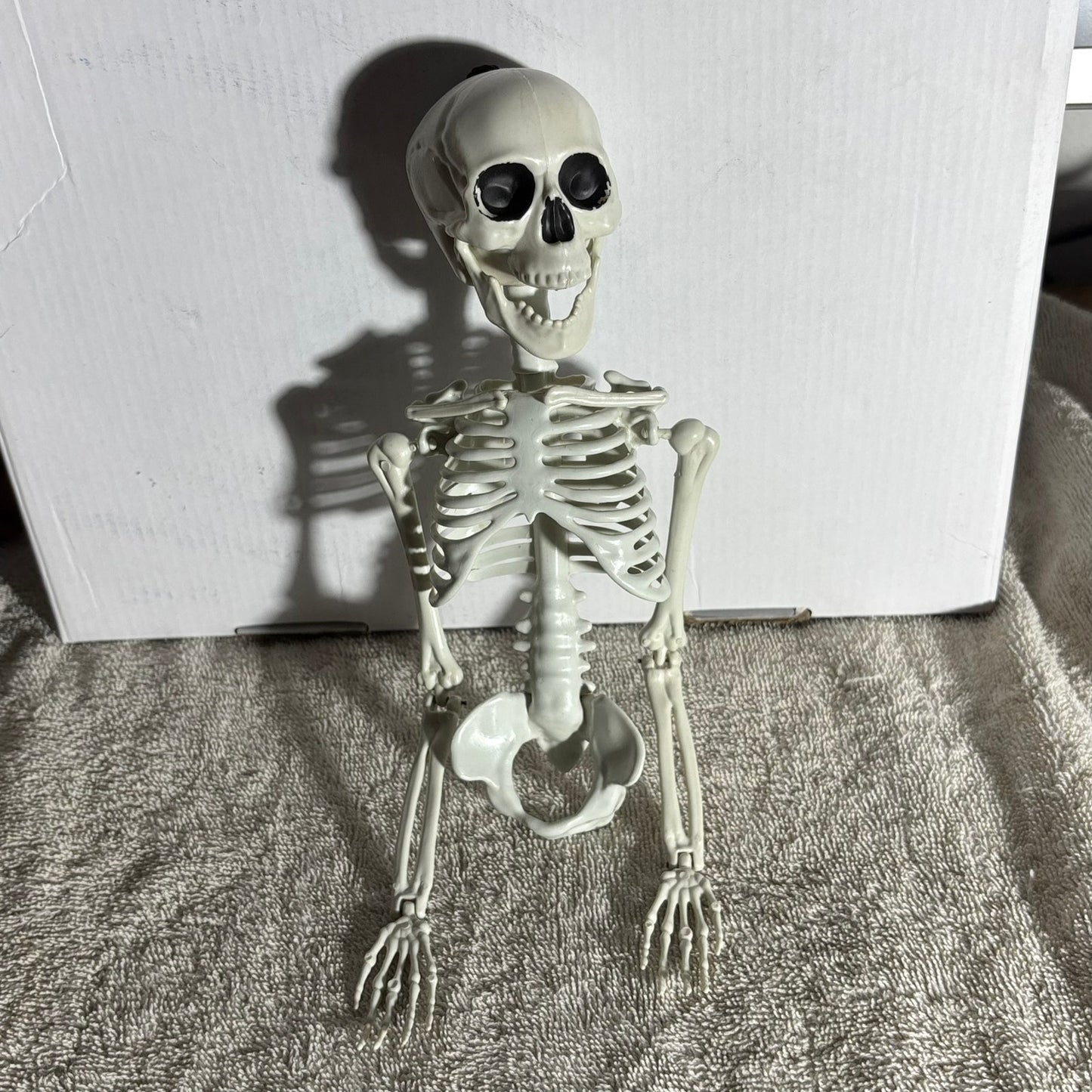 Skeleton - Toy