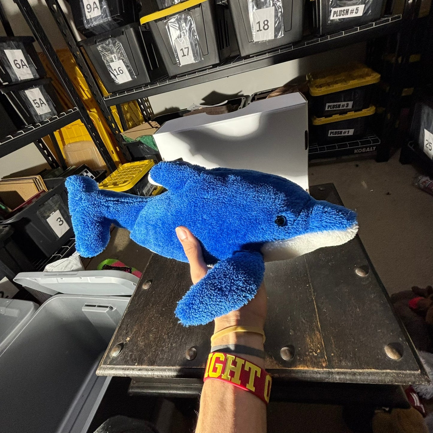 Sea World Dolphin - Plushie