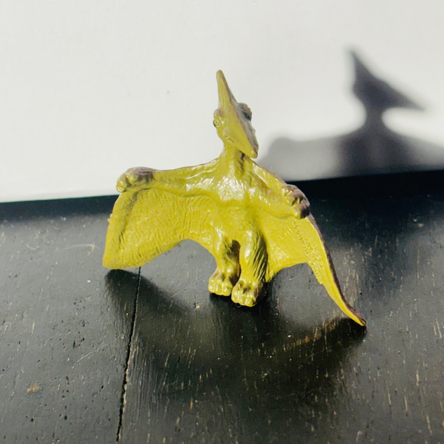 Flying Dinosaur - Toy