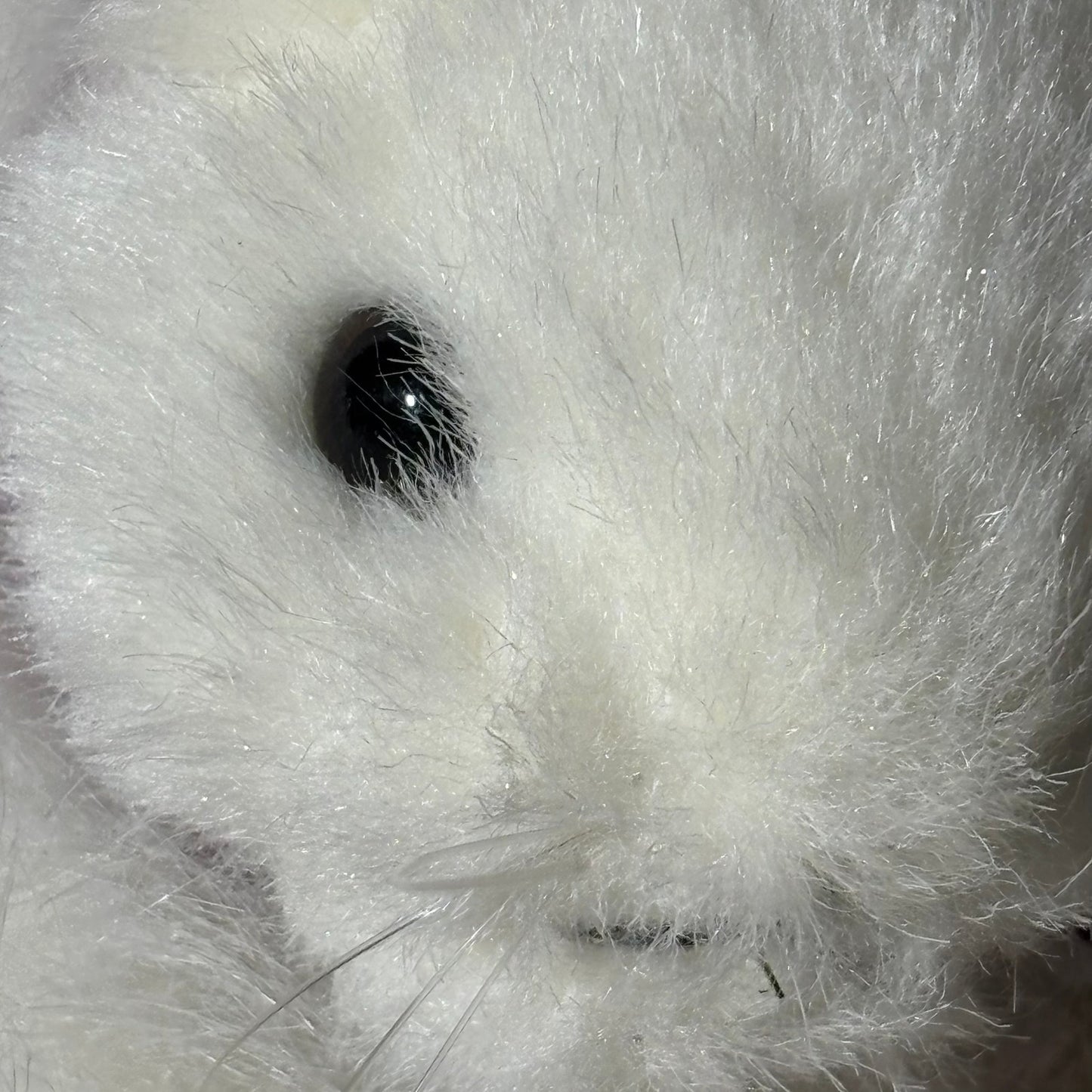 Little Rabbit - Plushie