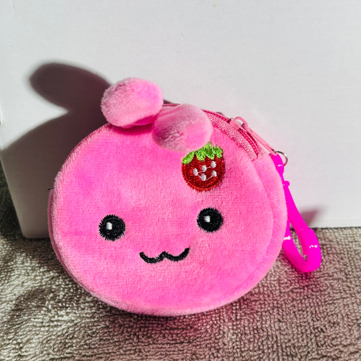 π Mystery Coin Bag (100% off)