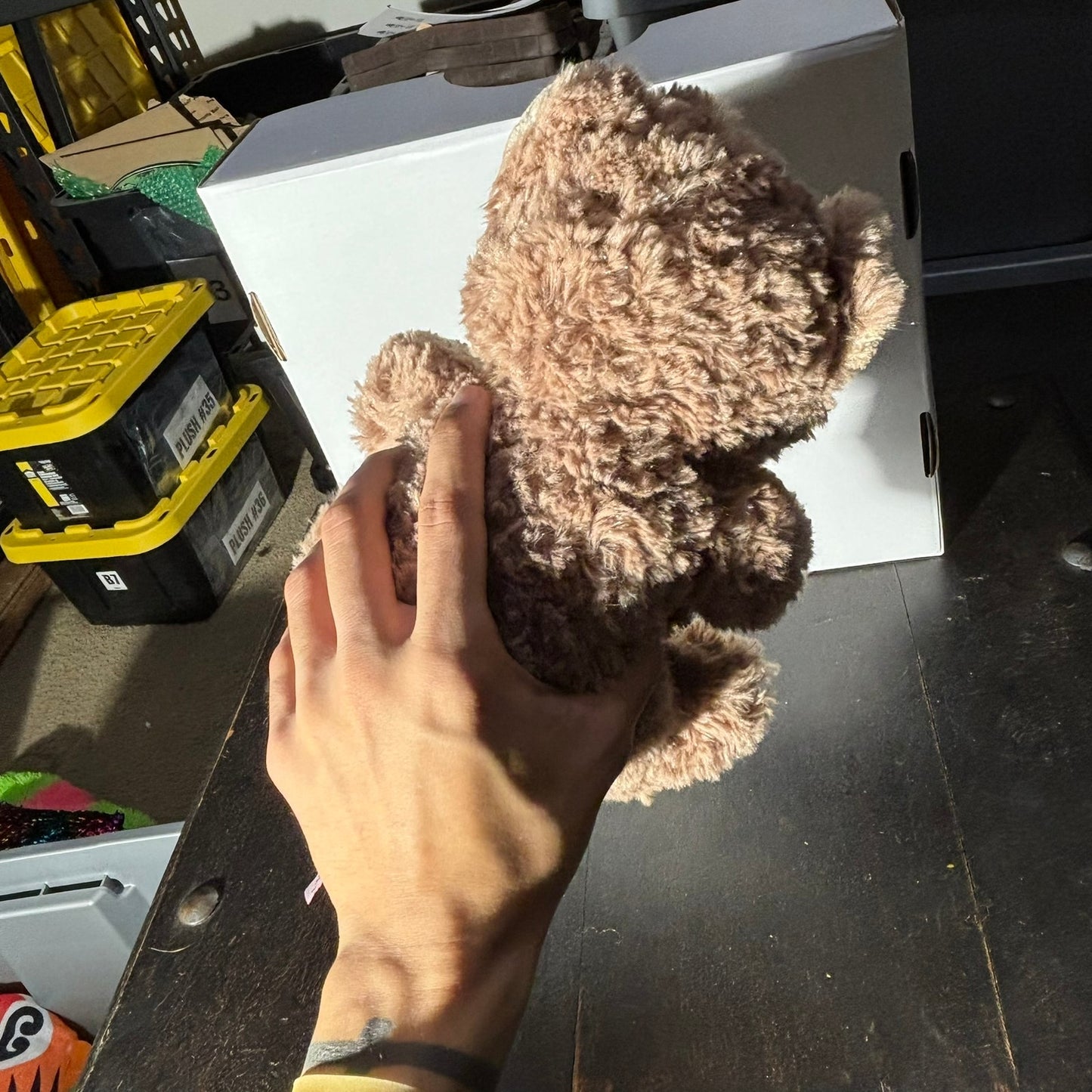 Linzy Bear - Plushie