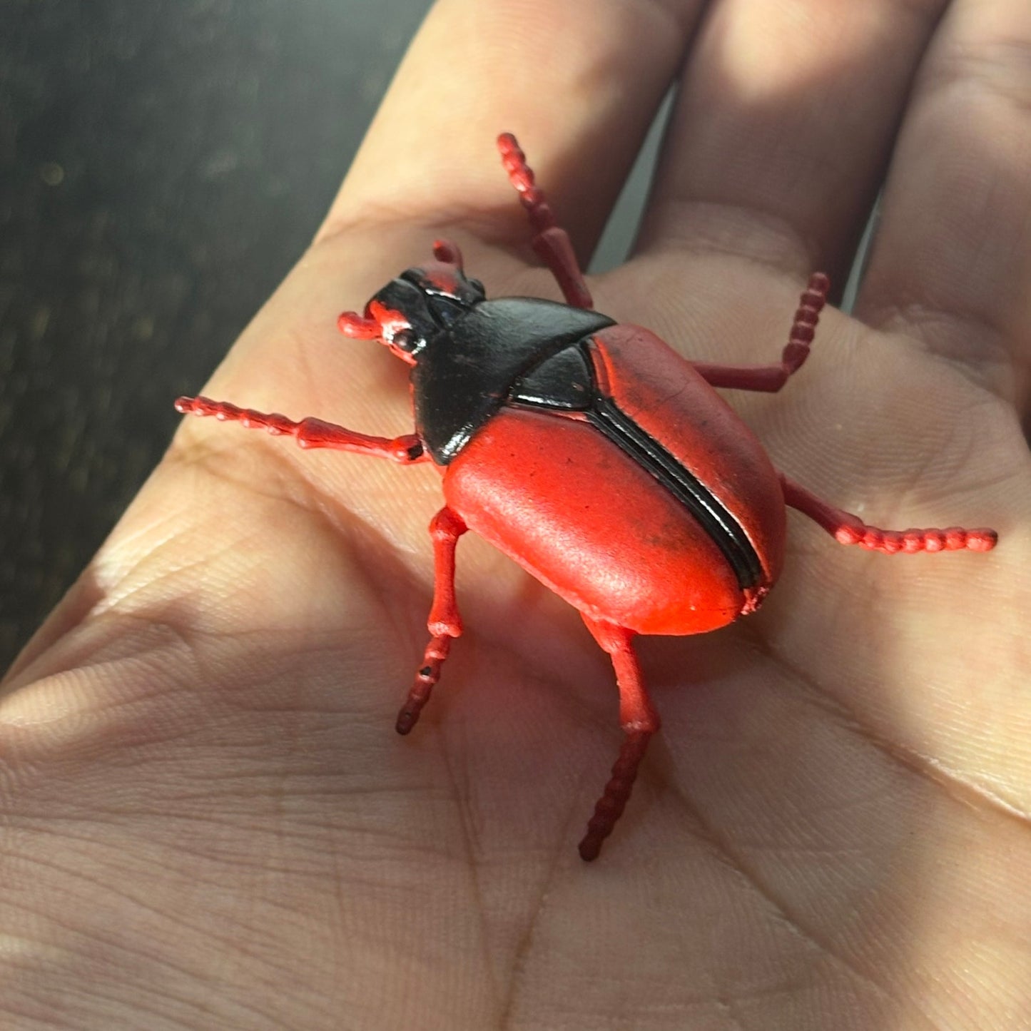 Red Bug - Toy