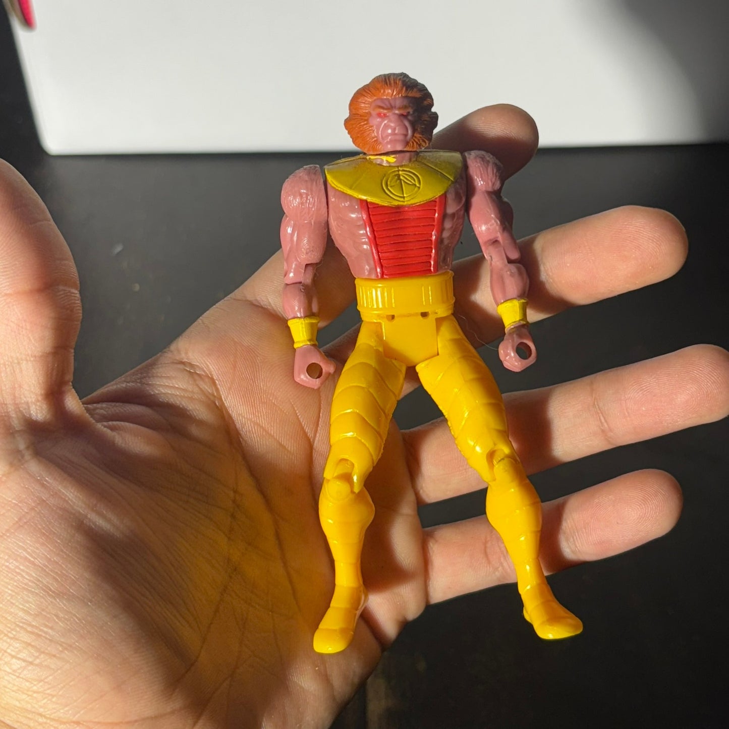 Action Figure - Toy