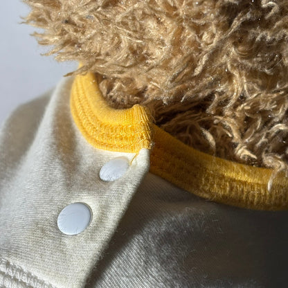 Clothed Bear - Plushie