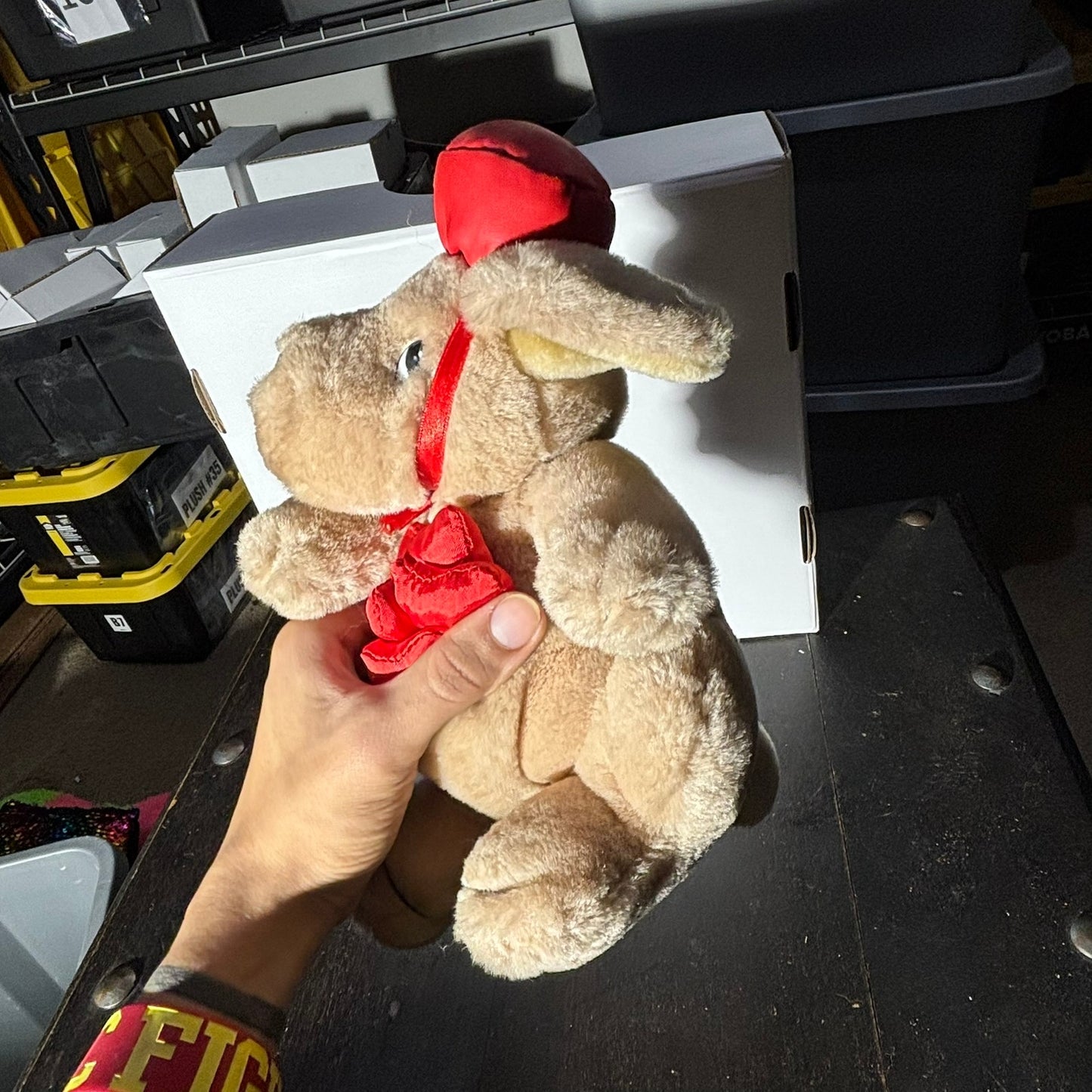 Band Kangaroo - Plushie