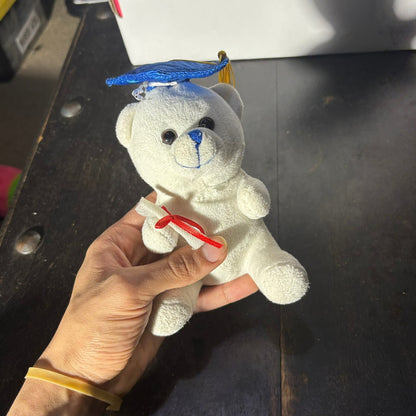 Graduation Bear - Plushie