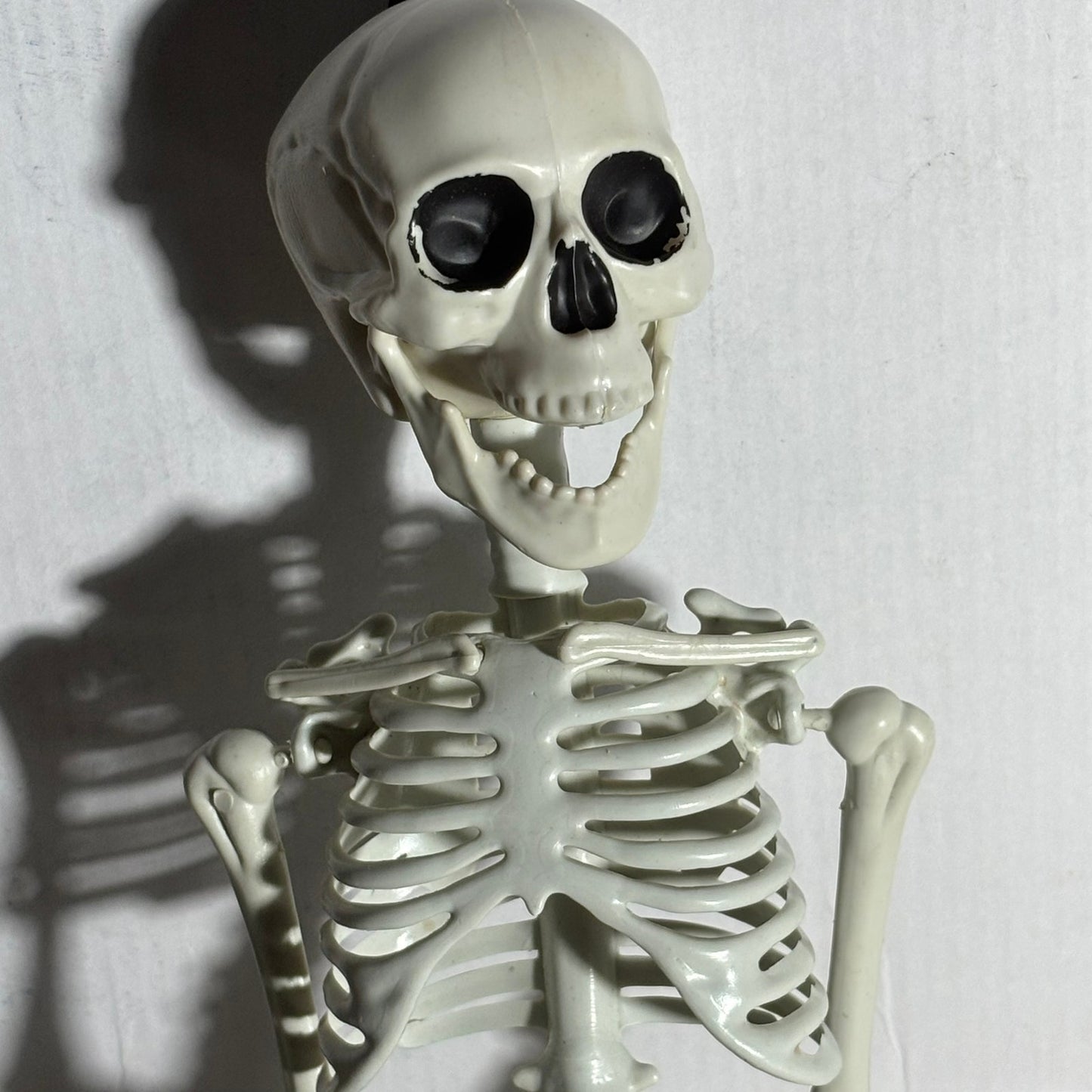 Skeleton - Toy