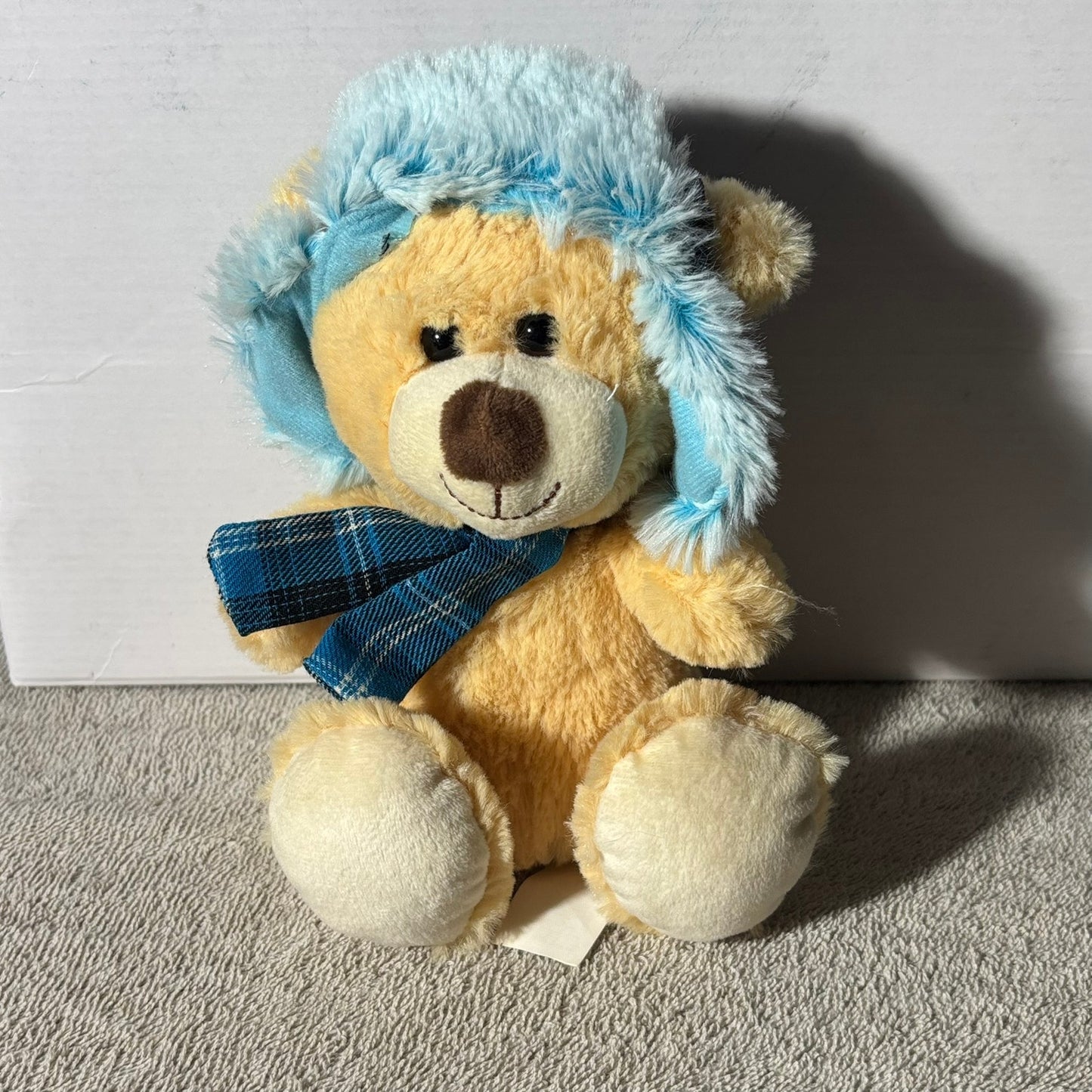 Hug Fun Bear - Plushie