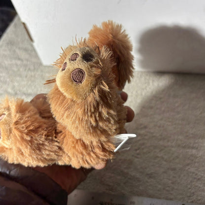 Morrison Bear - Plushie