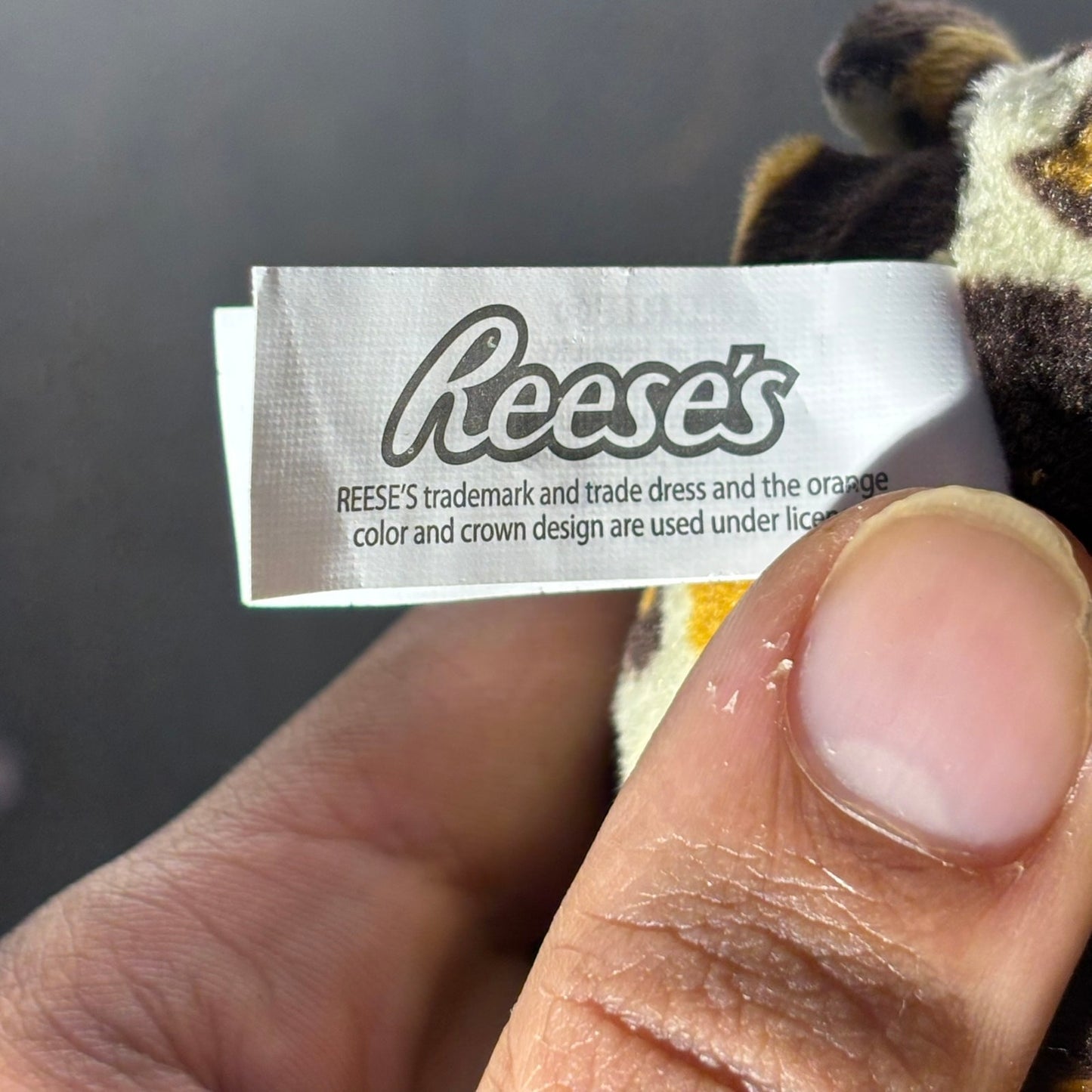 Reese's Bear - Plushie