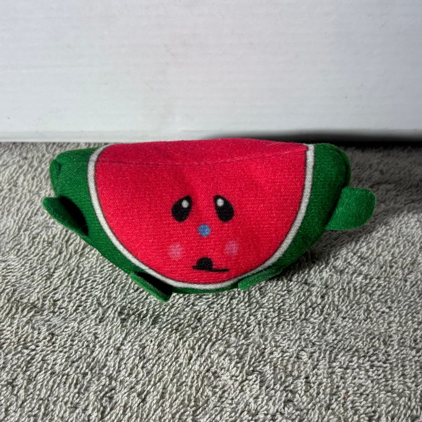Sad Melon - Plushie