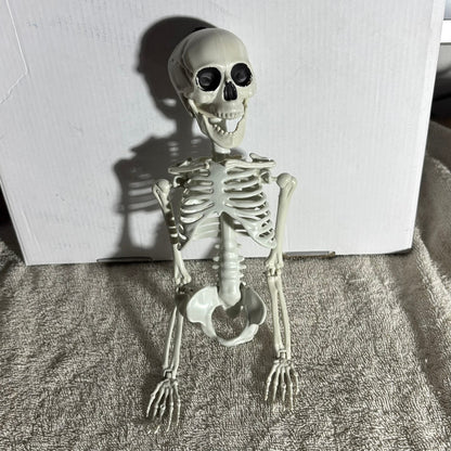 Skeleton - Toy