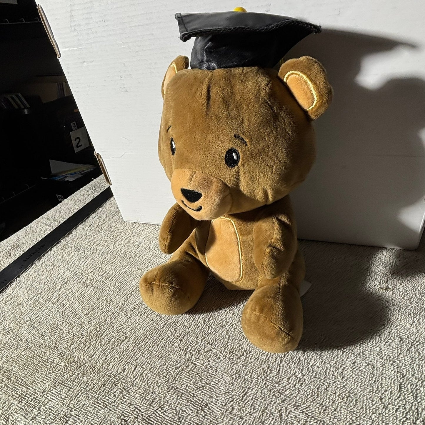 Graduating Bear - Plushie
