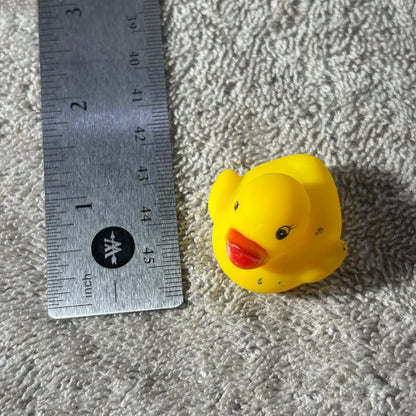 Yellow Rubber Duck - Toy