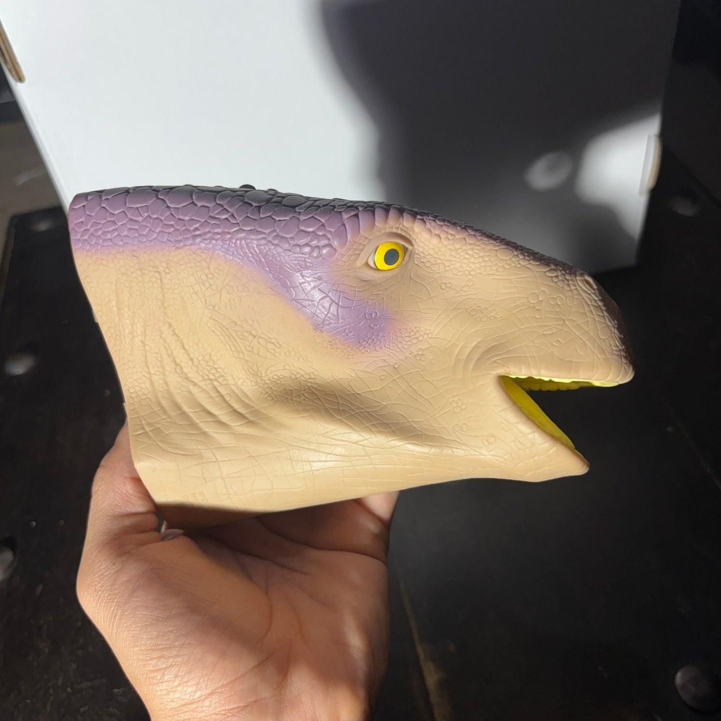 Dino Face - Toy