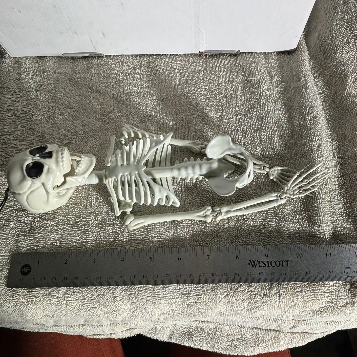 Skeleton - Toy