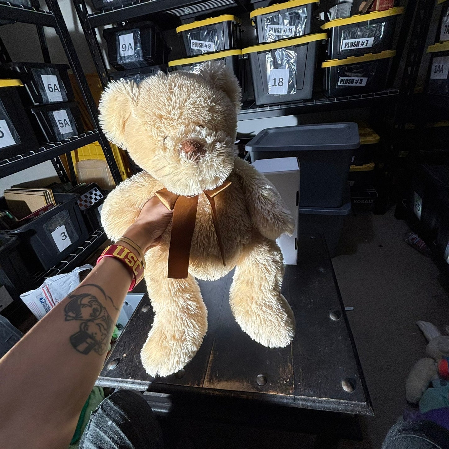 Large Teddy - Plushie