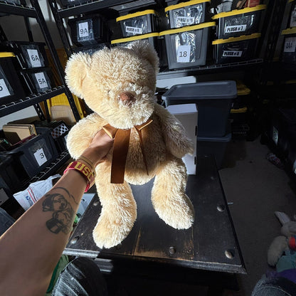 Large Teddy - Plushie