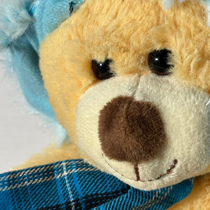 Hug Fun Bear - Plushie