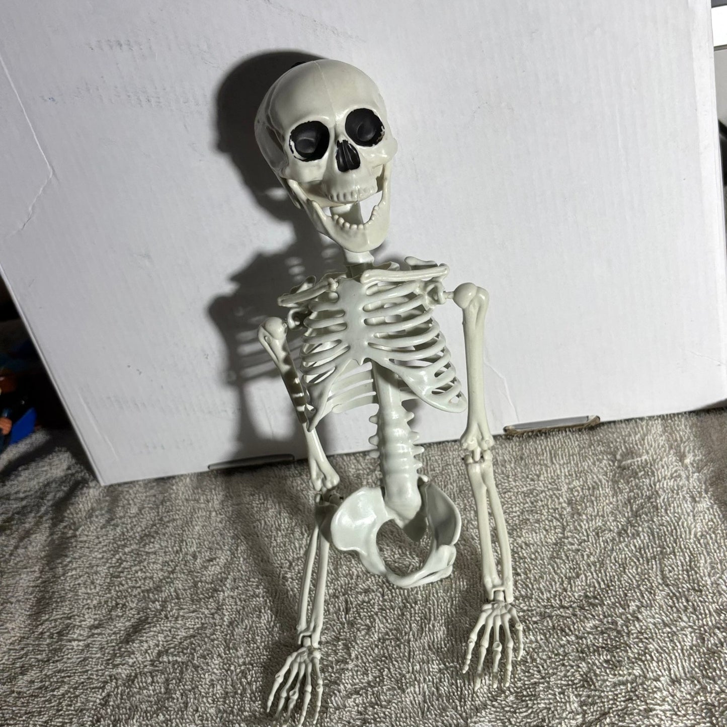 Skeleton - Toy