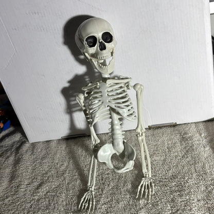 Skeleton - Toy
