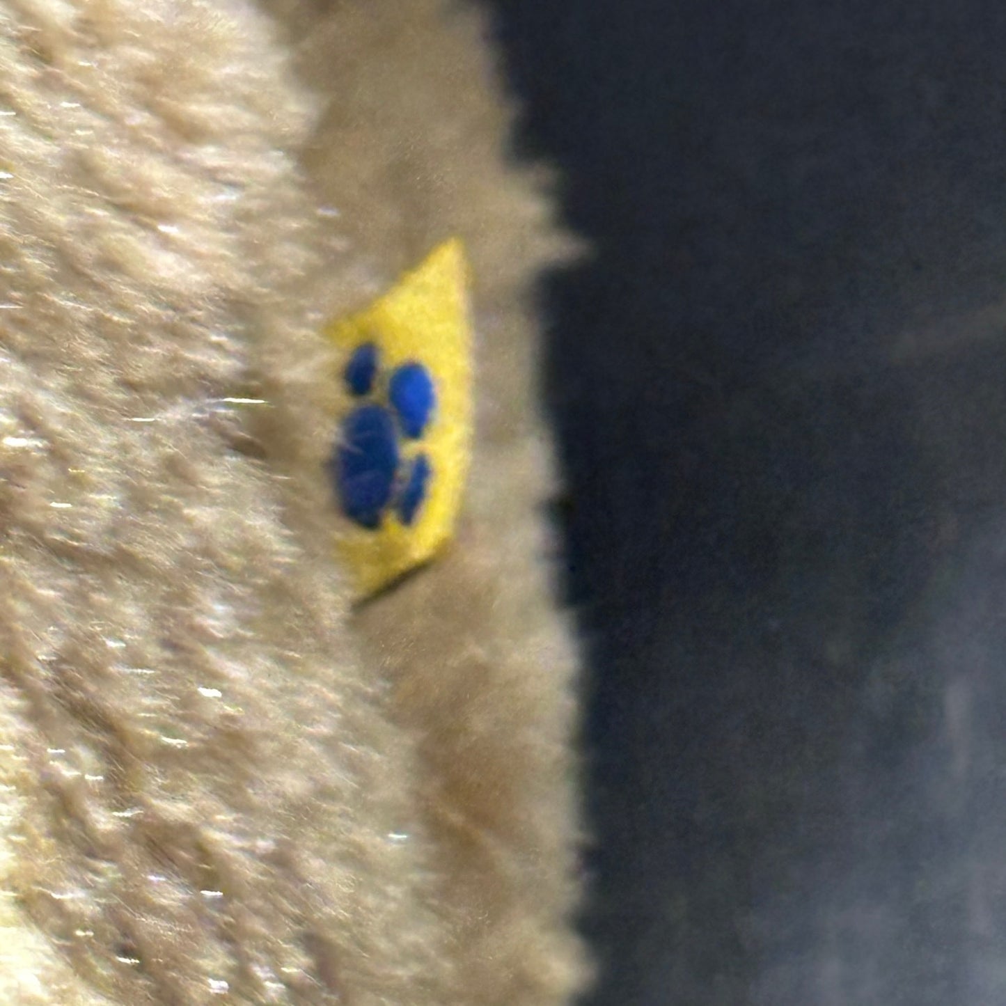 Build A Bear Dog - Plushie