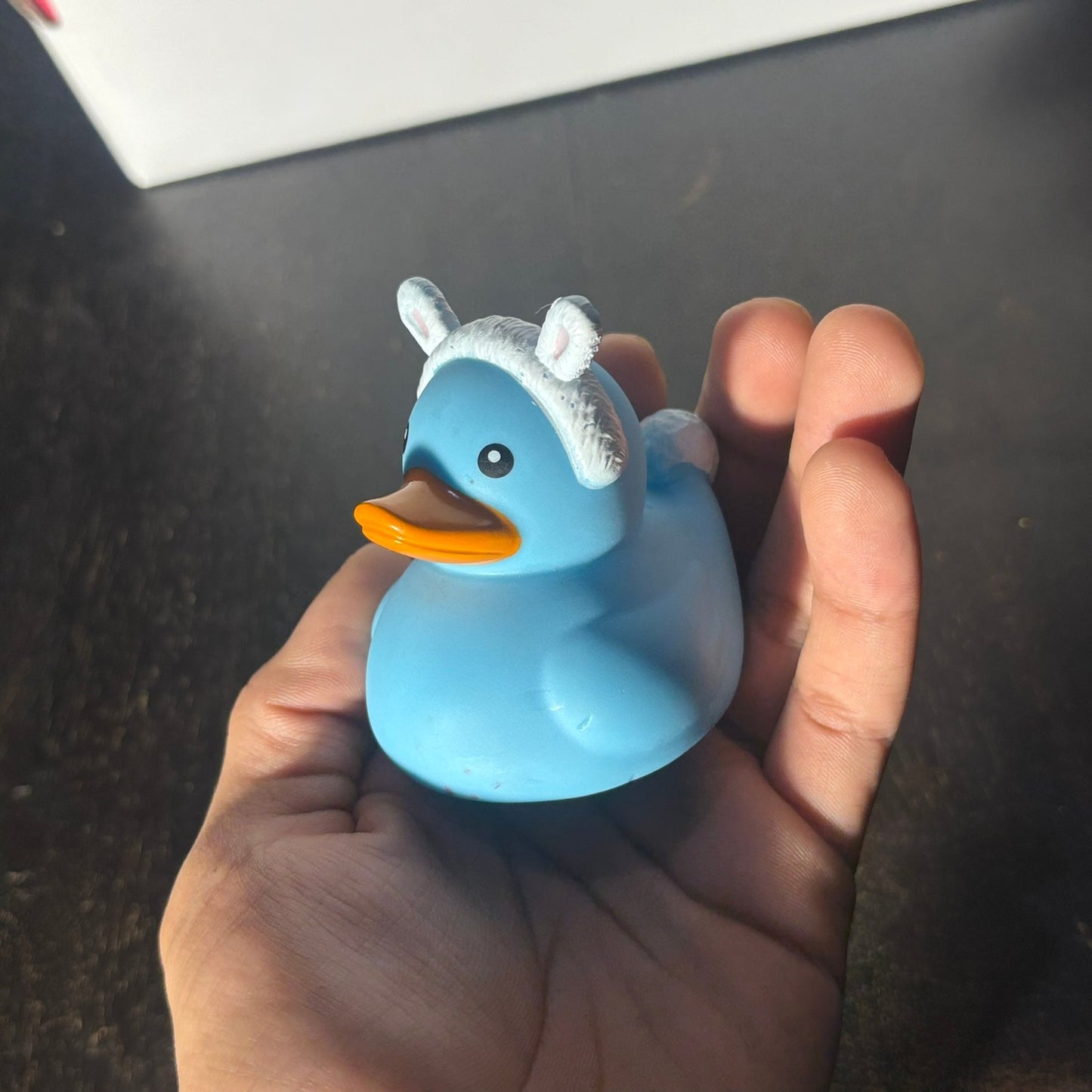 Blue Duck - Toy