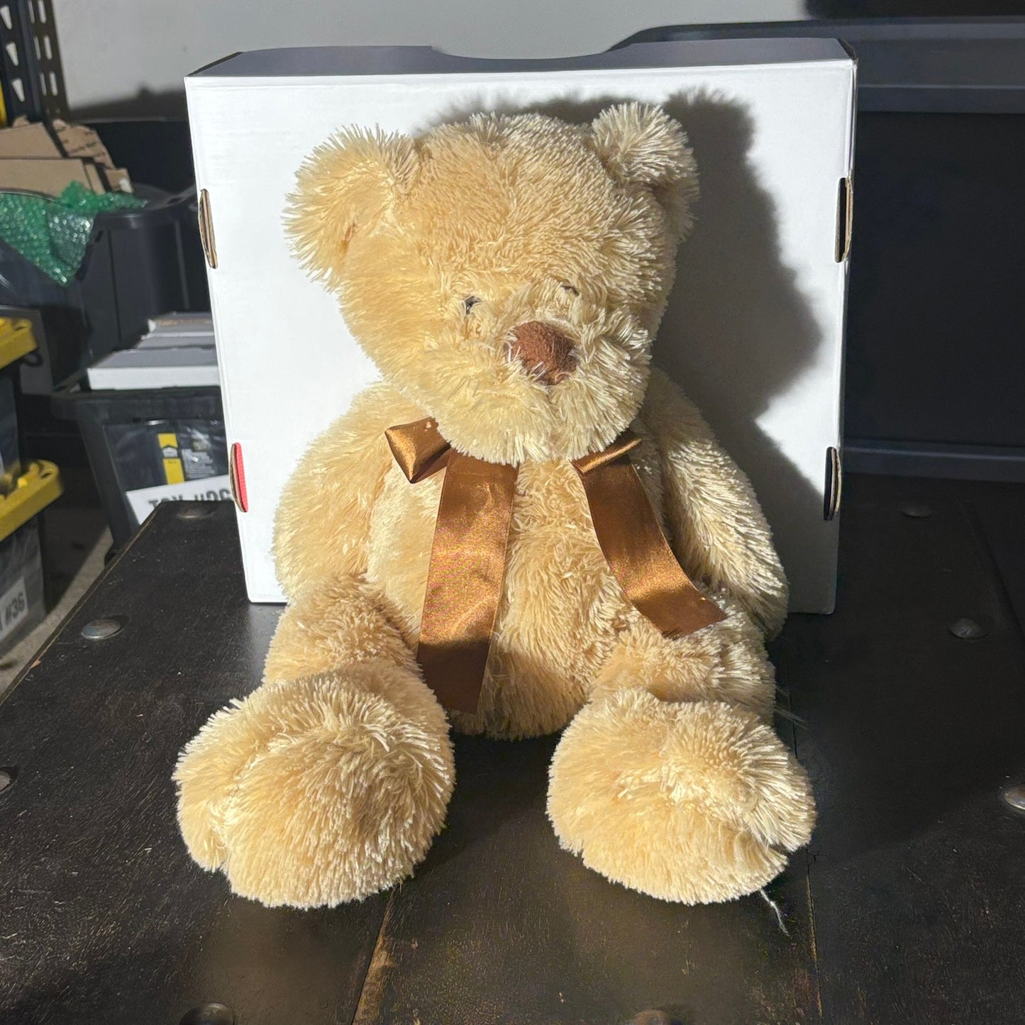 Large Teddy - Plushie