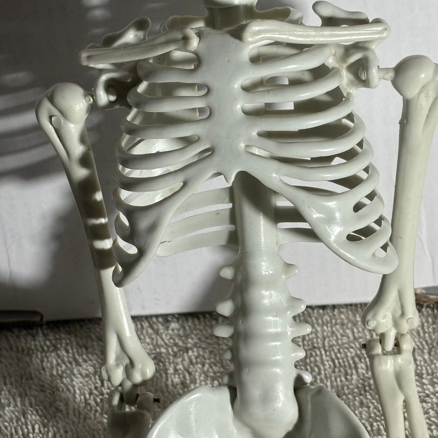 Skeleton - Toy