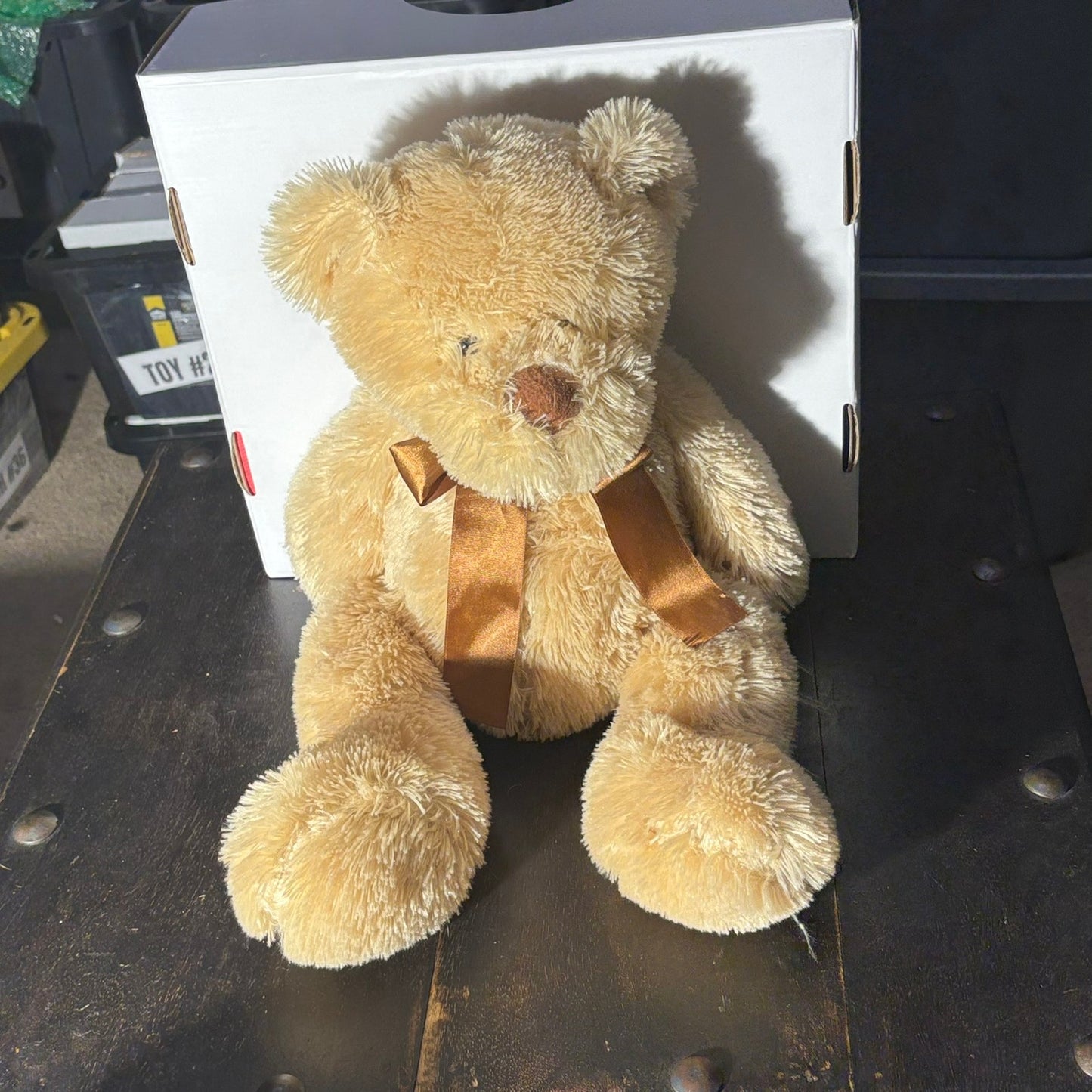 Large Teddy - Plushie