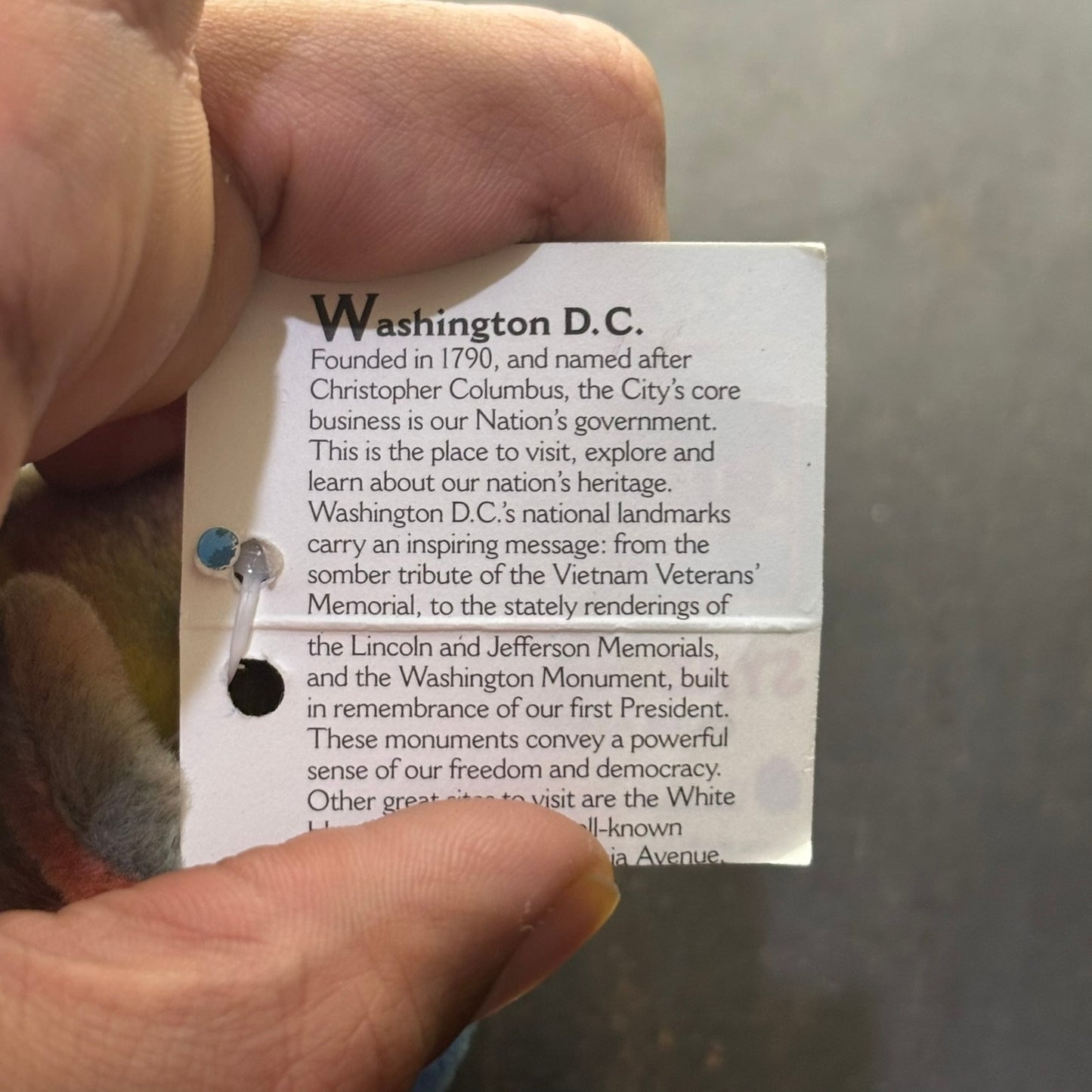 Washington Colorful Bear - Plushie