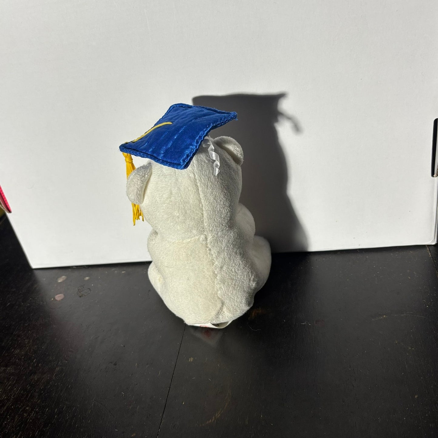 Graduation Bear - Plushie