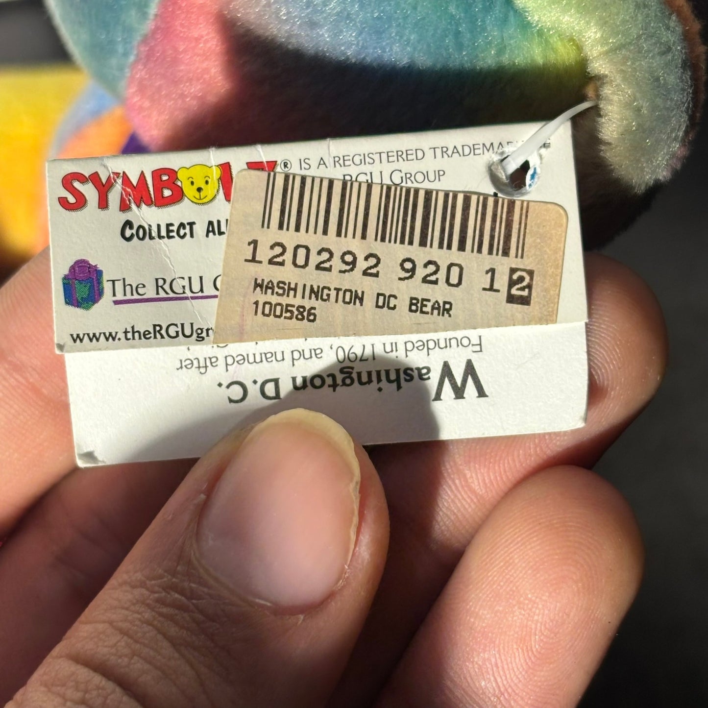 Washington Colorful Bear - Plushie