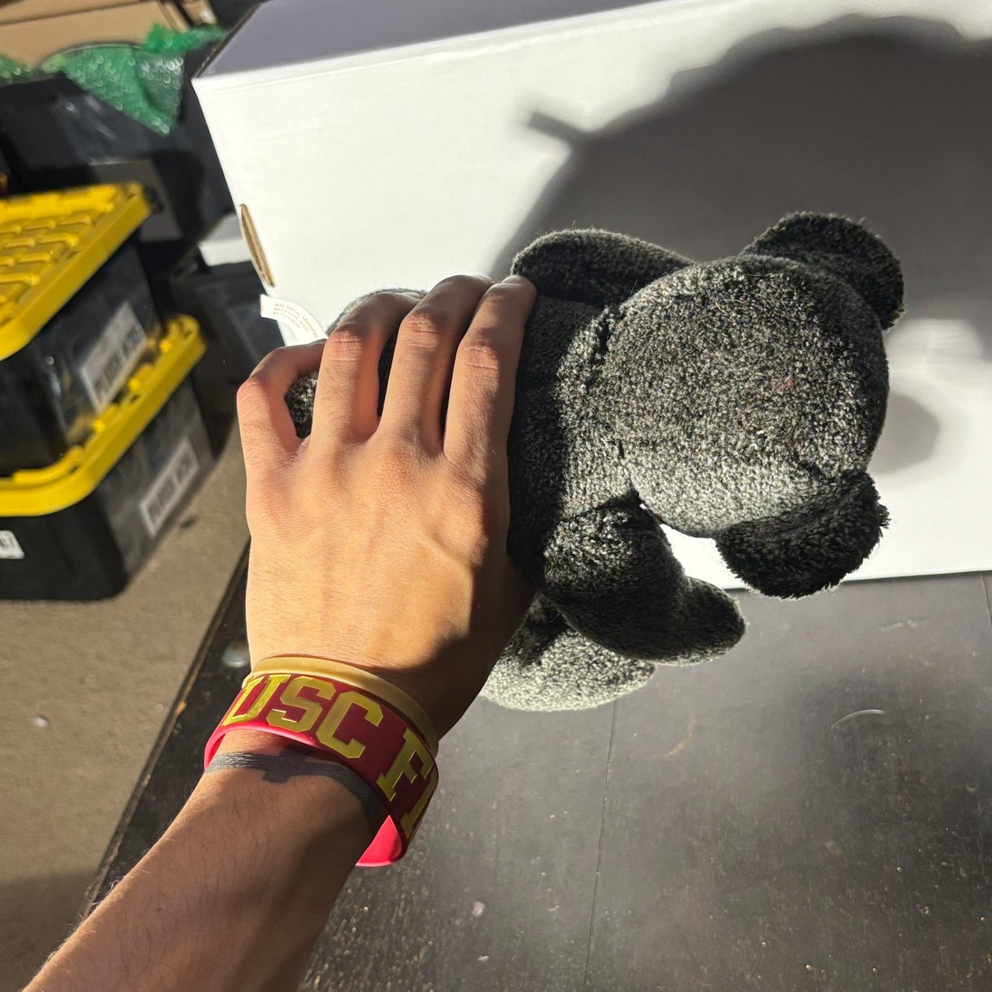 Collectible Gray Bear - Plushie