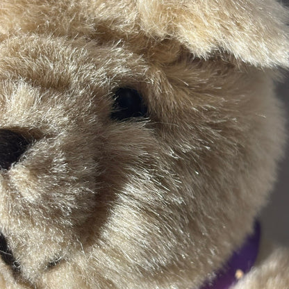 Cheer Bear - Plushie