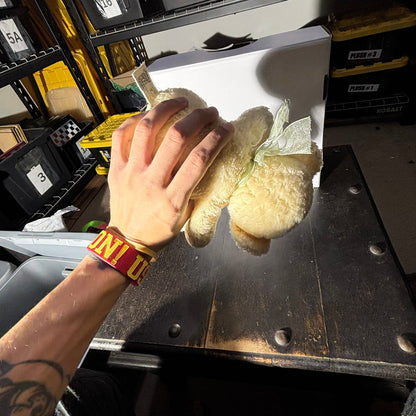 Yellow Bear - Plushie