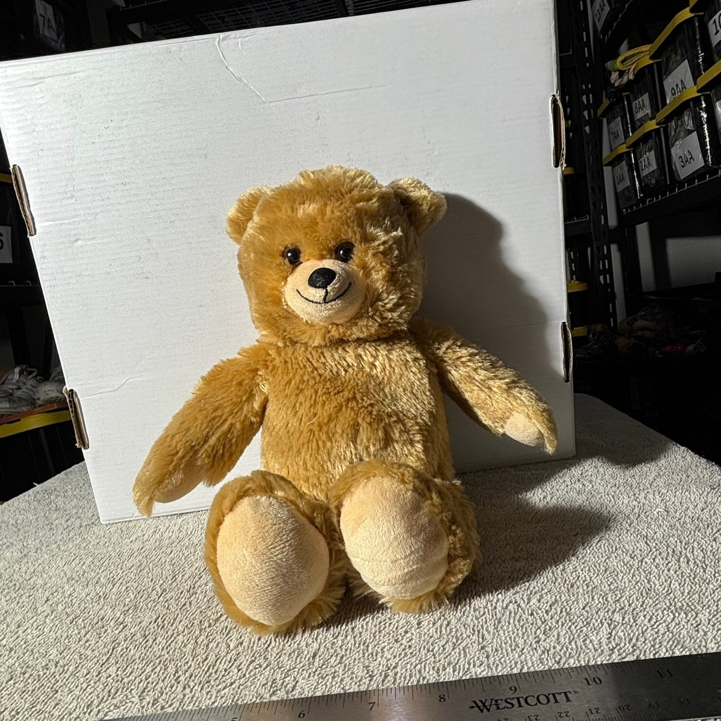 Six Flags Bear - Plushie