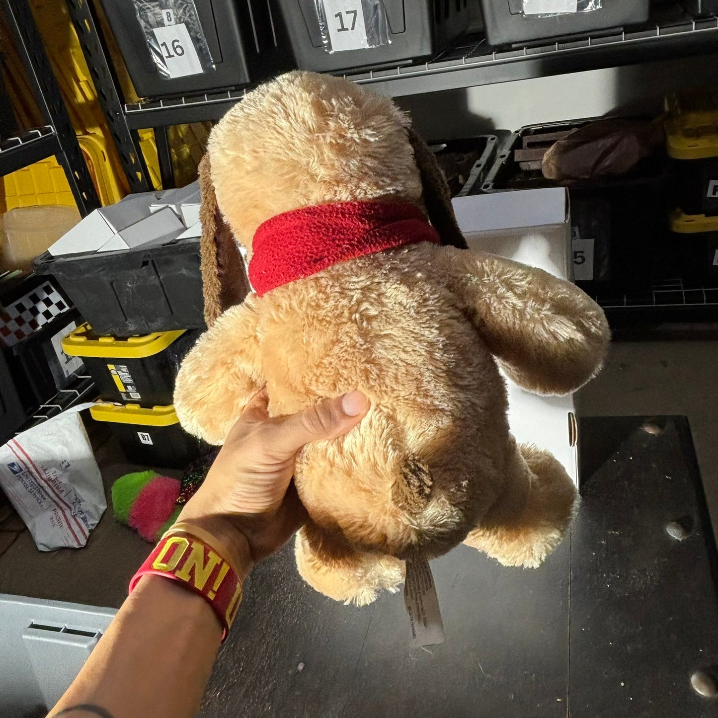 Winter Dog - Plushie