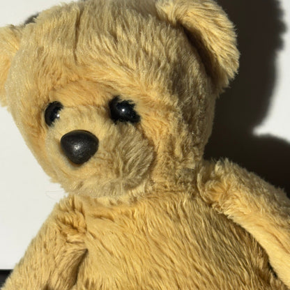 Aurora Bear - Plushie