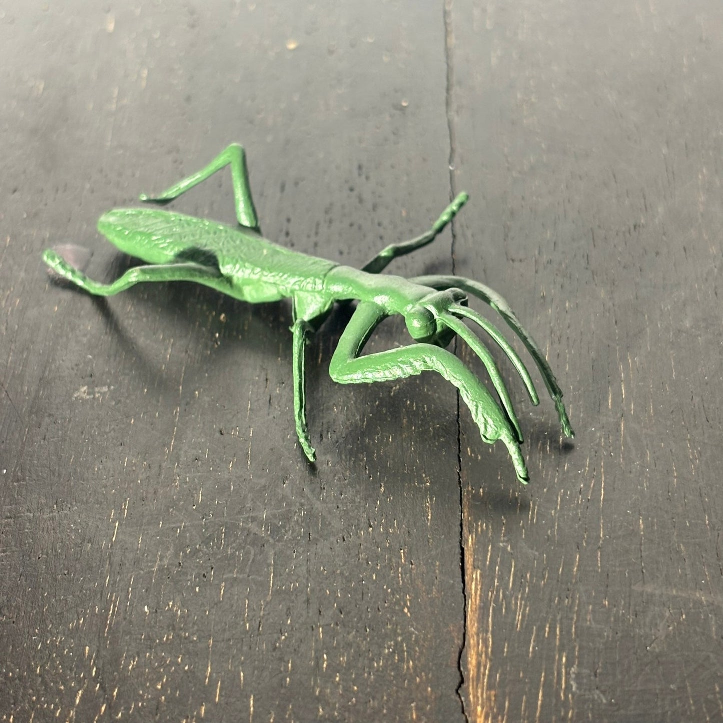 Green Bug - Toy