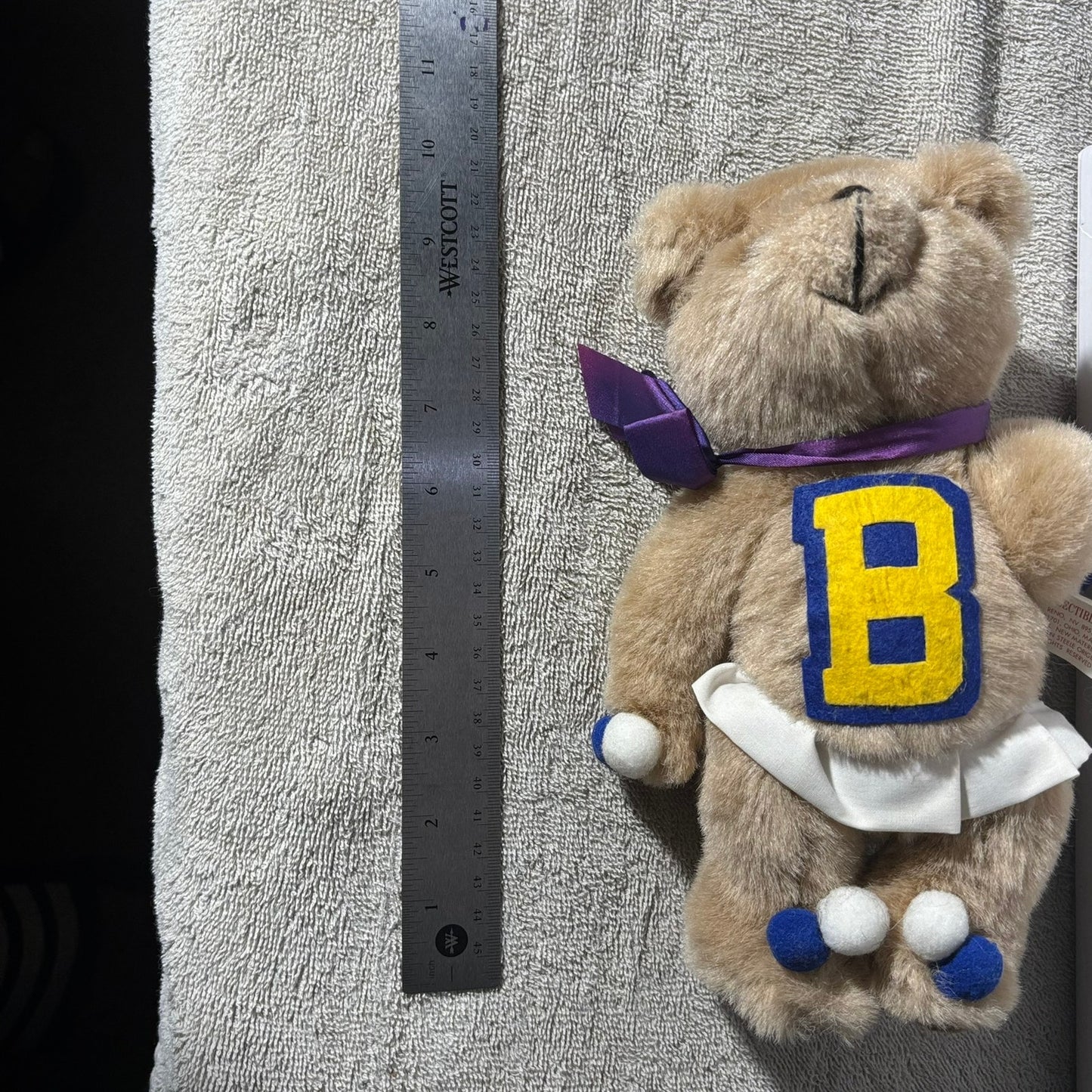 Cheer Bear - Plushie