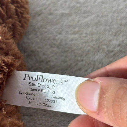 Pro Flowers Bear - Plushie