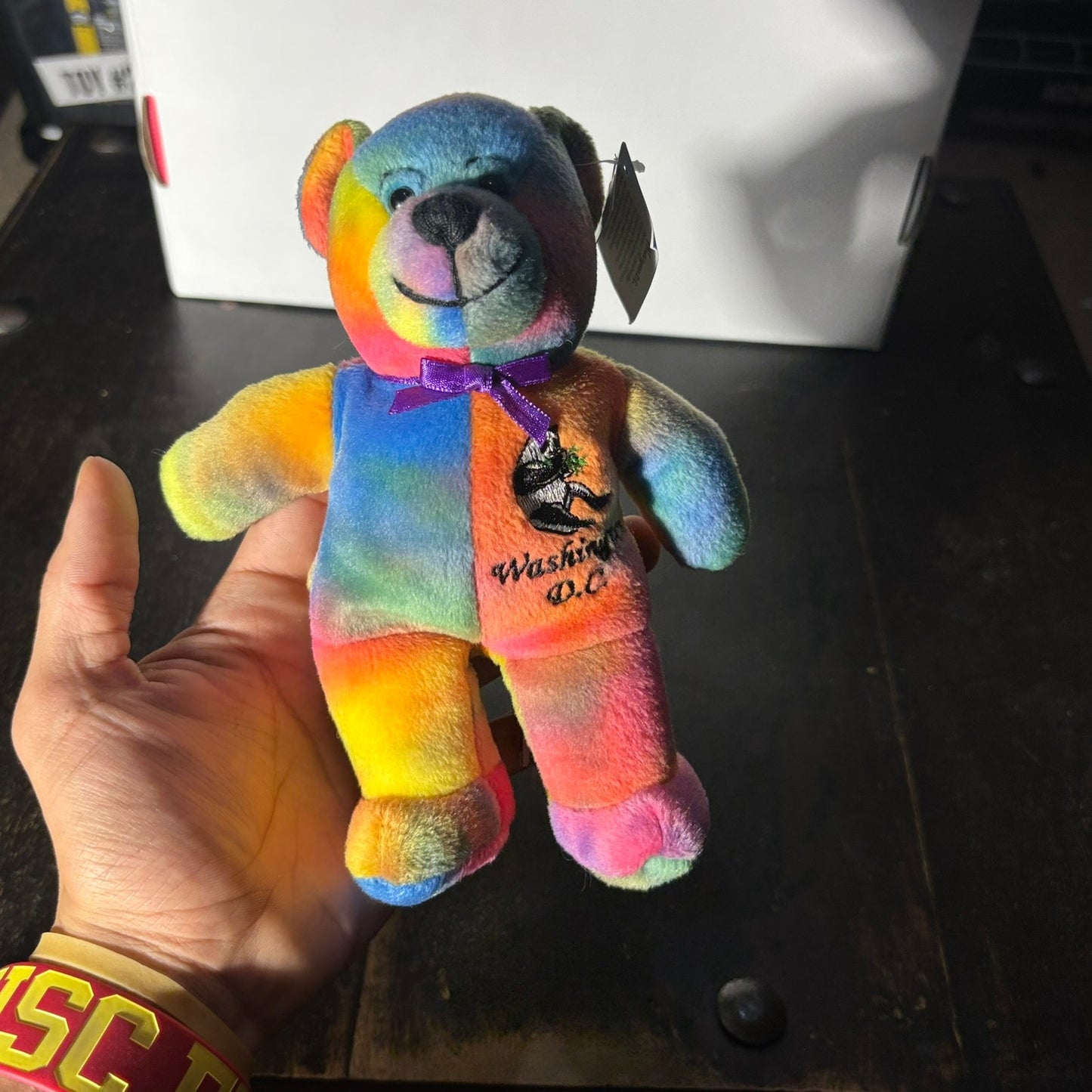 Washington Colorful Bear - Plushie