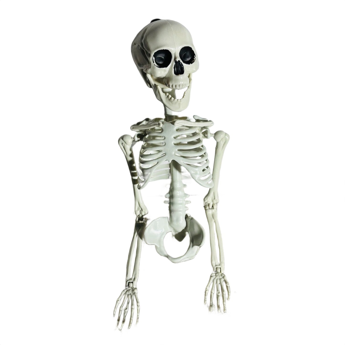 Skeleton - Toy