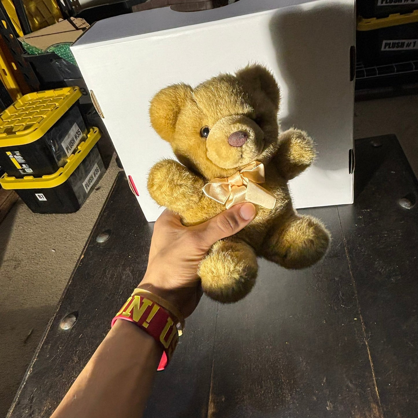 Fiesta Bear - Plushie