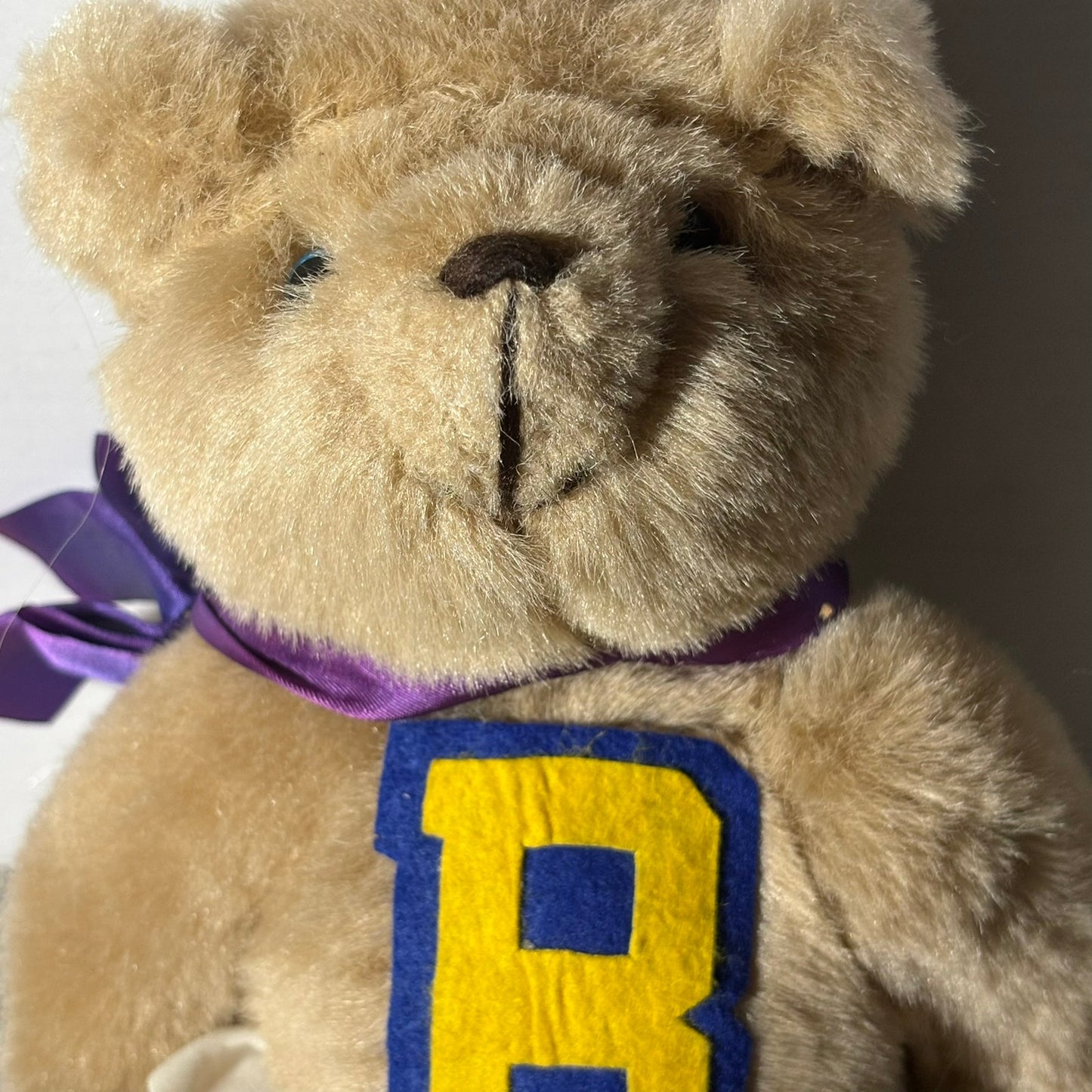 Cheer Bear - Plushie