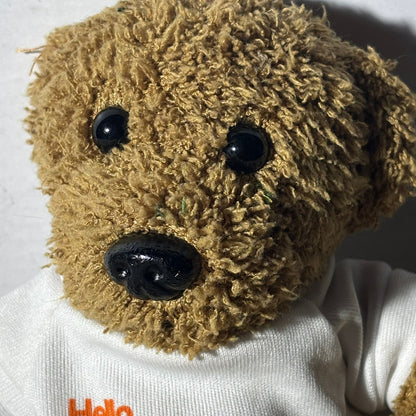 Human Kindness Bear - Plushie