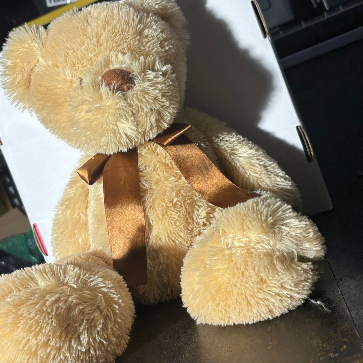 Large Teddy - Plushie